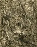 Woodland Interior by William Trost Richards