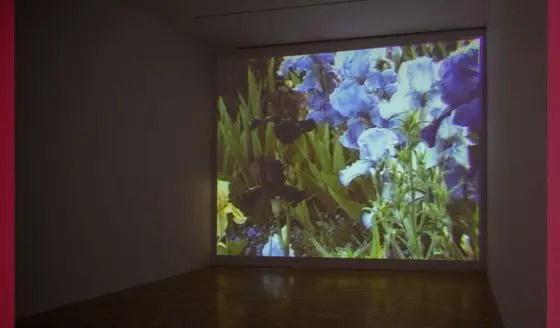 Oo Fifi, Five Days in Monet's Garden, Part 2 by Diana Thater