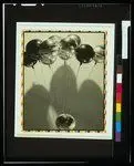 [Still life, Christmas ornaments] by clarence h. white school of photography