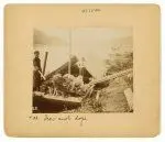 Scow and dogs by Unknown artist