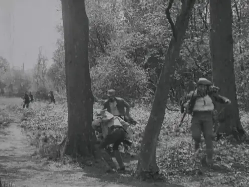 Dogs used as smugglers by afi/nfsa-australia collection (library of congress)