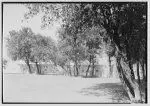Canadian scenes. Trees along stone wall by horydczak, theodor