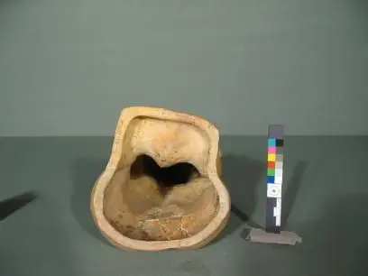 Hollow sleeping seated human figure, CE 600-900 by kislak, jay i.