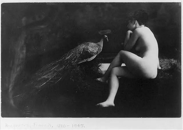 Vanity by Bruguière, Francis Joseph, photographer. by Bruguière, Francis Joseph, photographer.