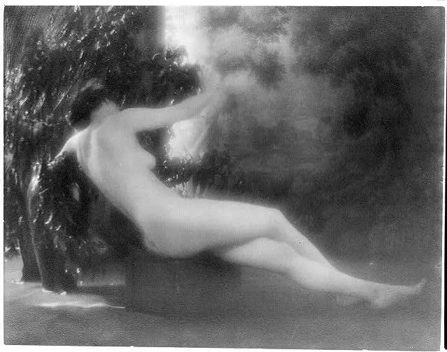 Daphne by Bruguière, Francis Joseph, photographer. by Bruguière, Francis Joseph, photographer.