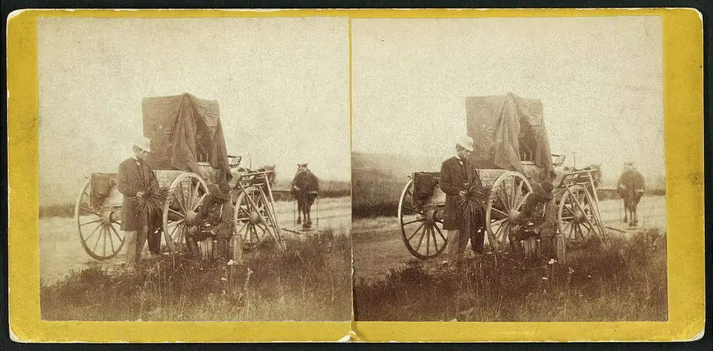 A rare specimen found on hill above Fort Riley, Kansas, 420 miles west of St. Louis, Mo. by Gardner by Gardner