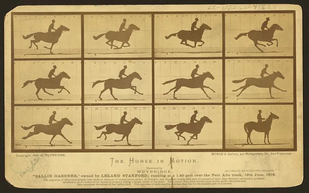 The horse in motion, illus. by Muybridge. "Sallie Gardner," owned by Leland Stanford, running at a 1:40 gait over the Palo Alto track, 19 June 1878: 2 frames showing diagram of foot movements by Muybridge by Muybridge