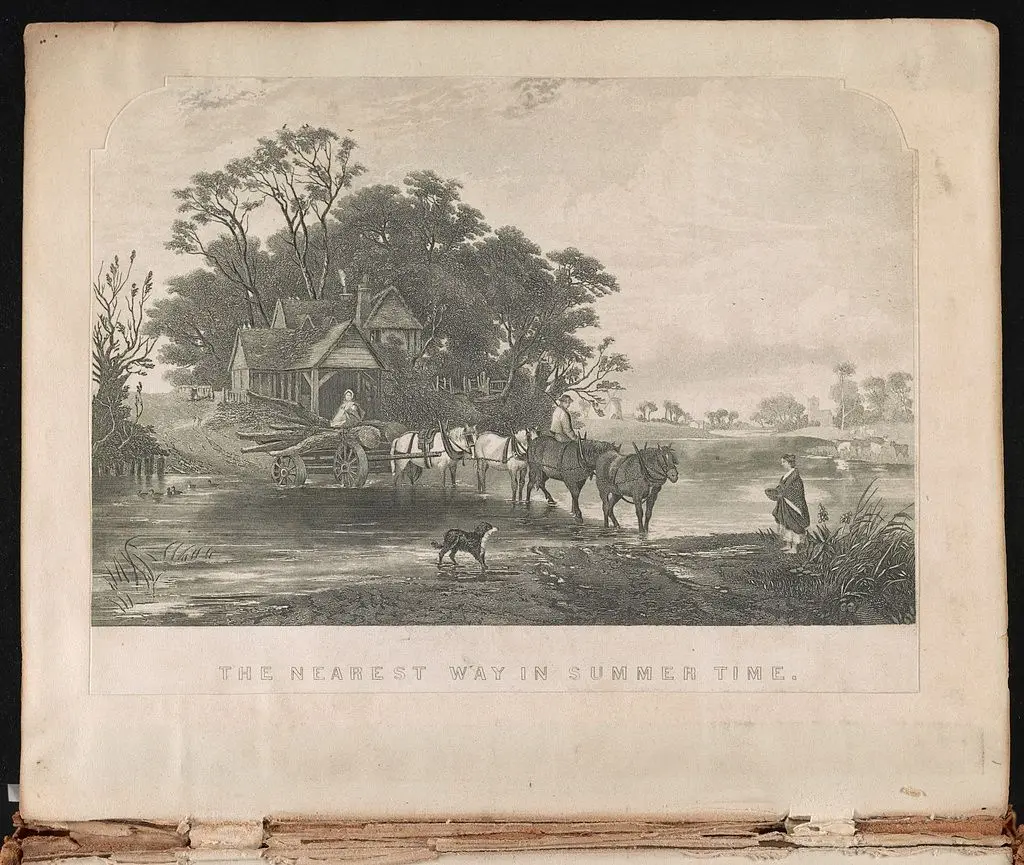 The nearest way in summer time by Creswick by Creswick