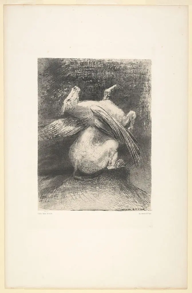 The impotent wing did not lift the animal into that black space by Redon by Redon
