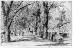 [Washington elms in April] by Hassam by Hassam