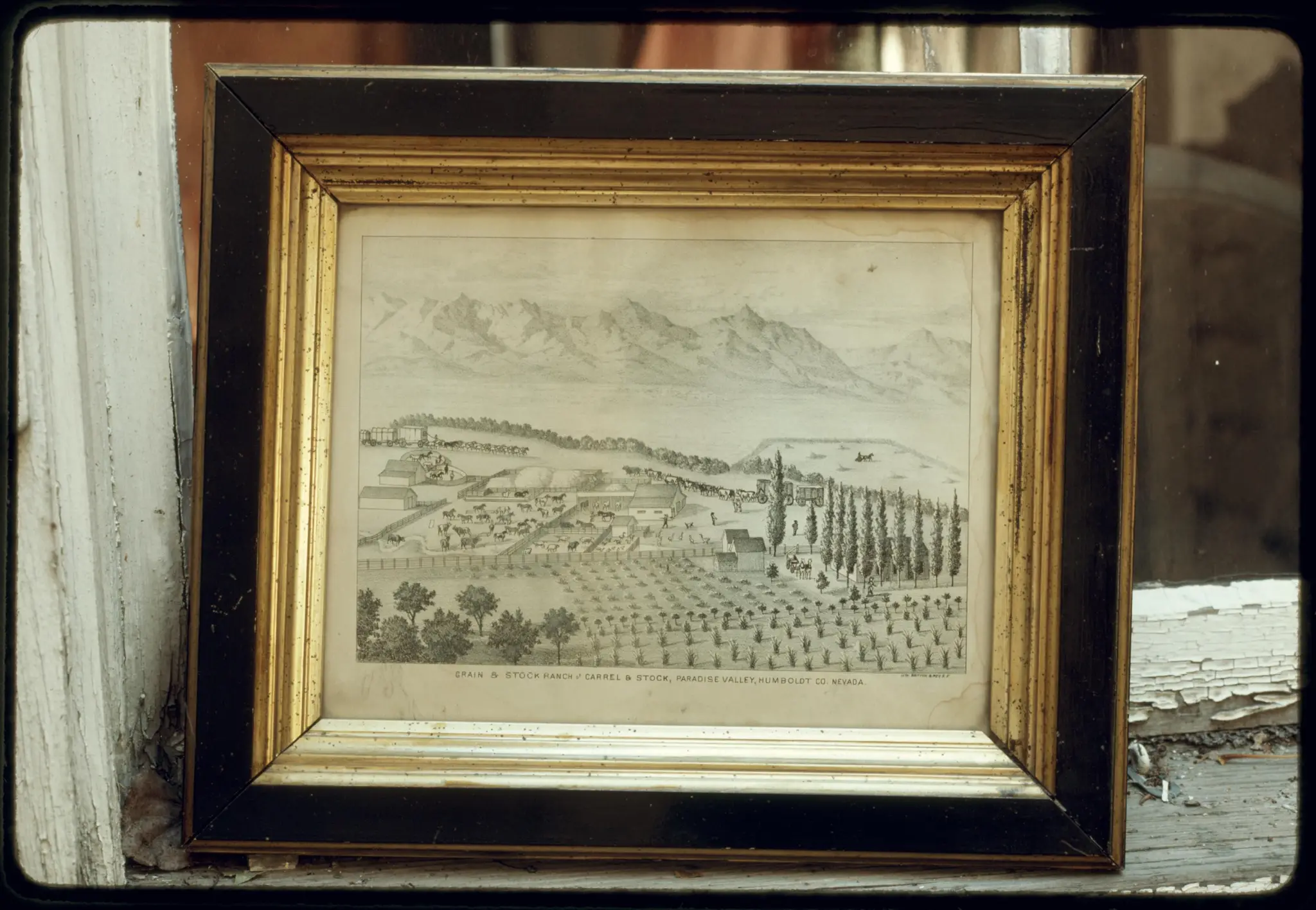 Lithograph of Stock Farming Company, ca. 1881 by Britton & Rey (Photographer) by Britton & Rey (Photographer)
