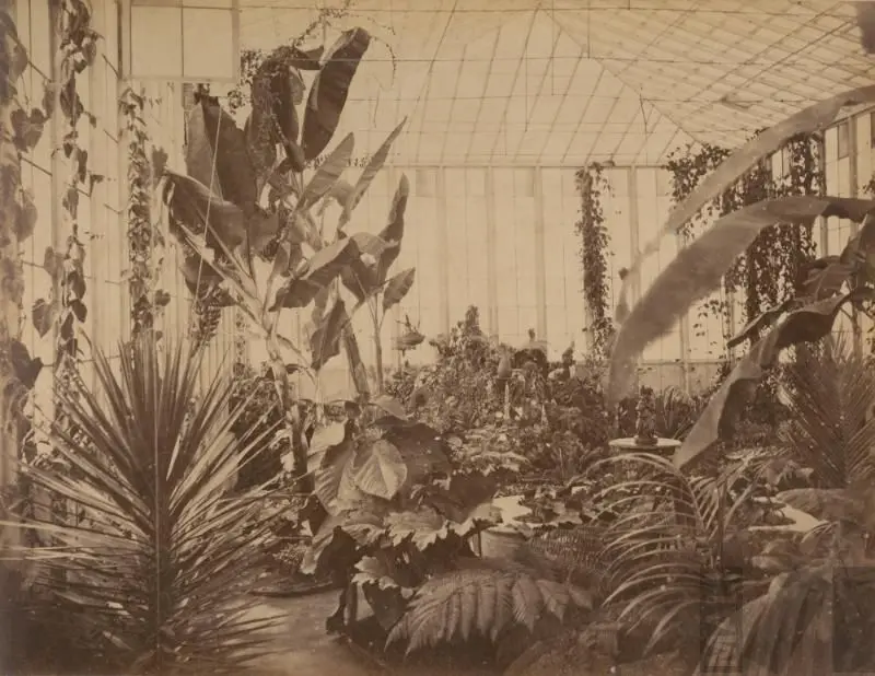 Interior del invernáculo del Parque de la Exposición by Estudio Courret