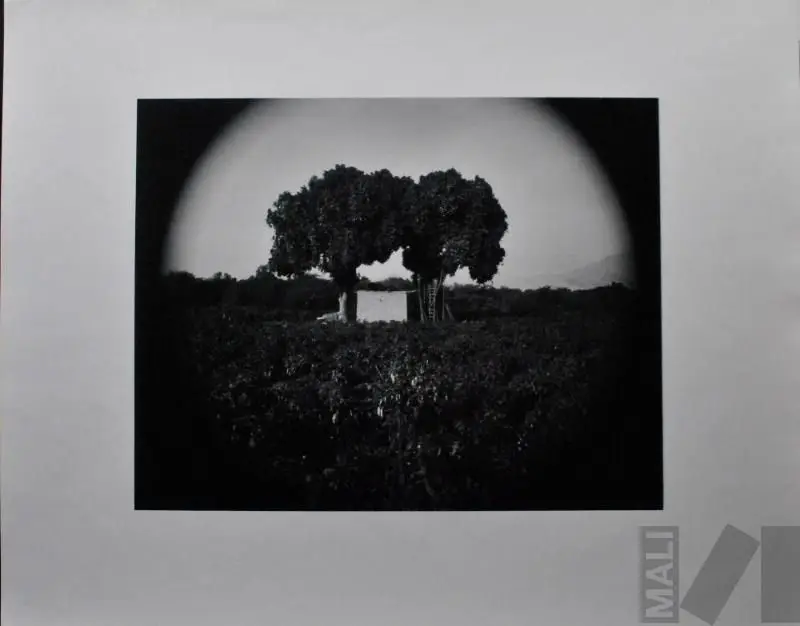 San Rafael, Casma. Serie Paisajes circulares by Billy Hare