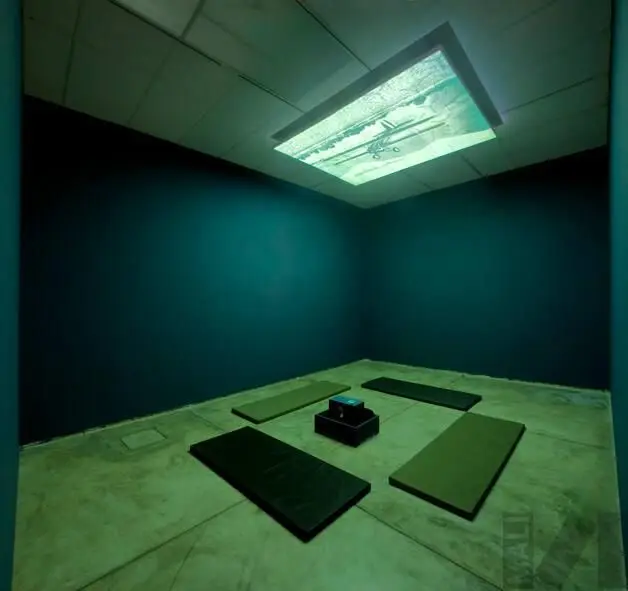 La caída by Luz María Bedoya