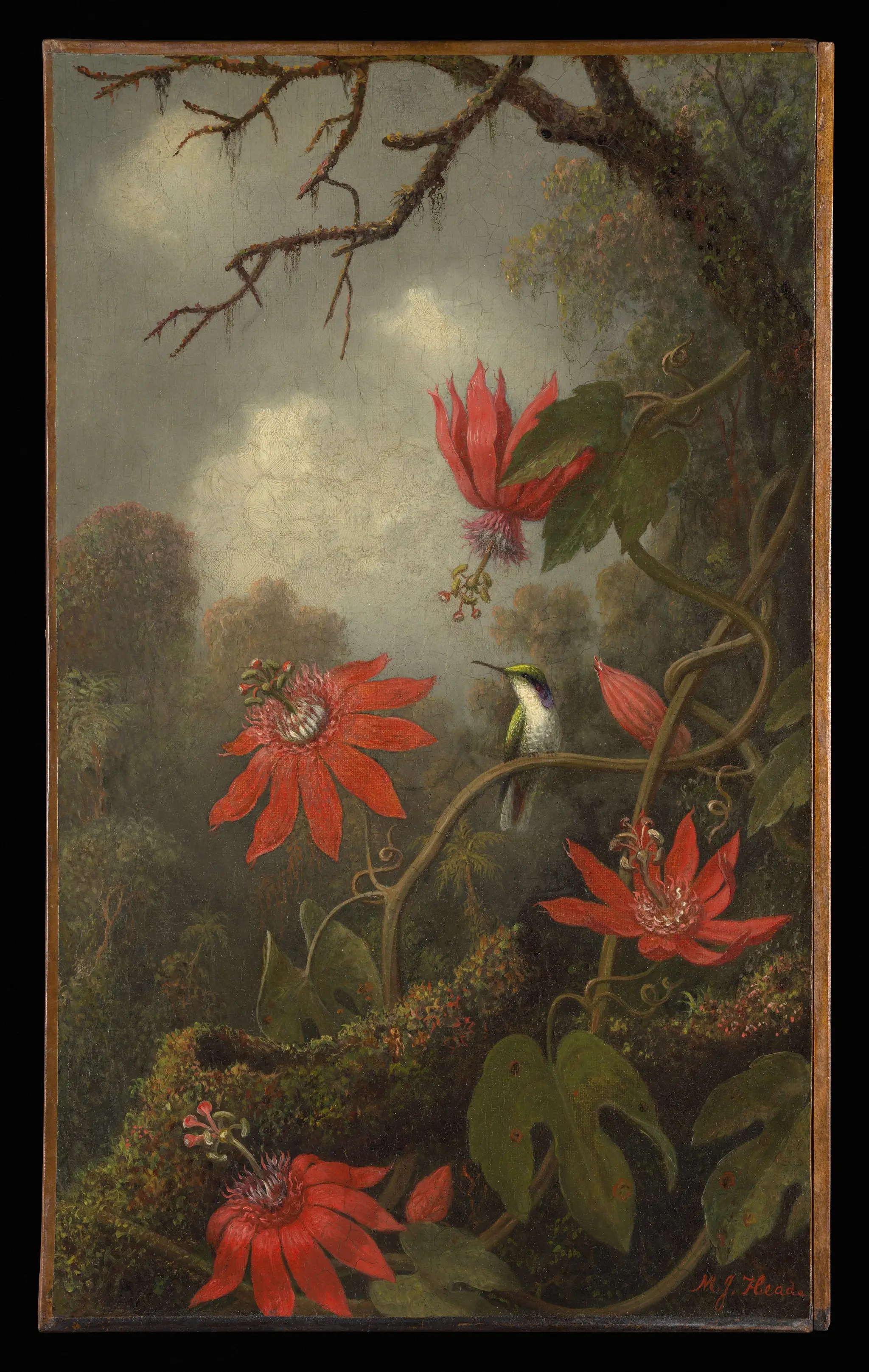 Hummingbird and Passionflowers by Martin Johnson Heade