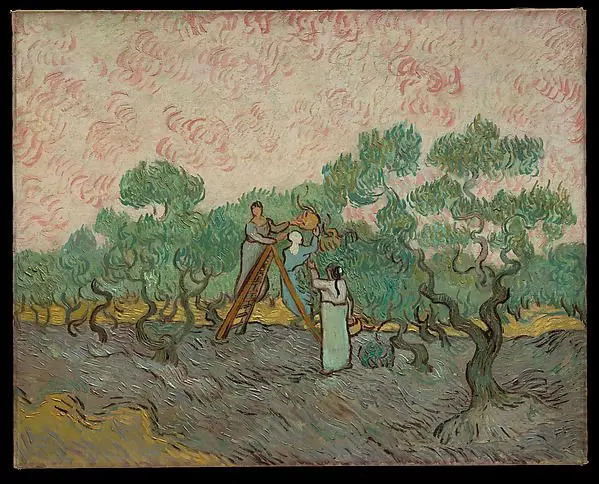 Women Picking Olives by Vincent van Gogh