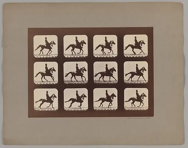 Attitudes of Animals in Motion by Eadweard Muybridge