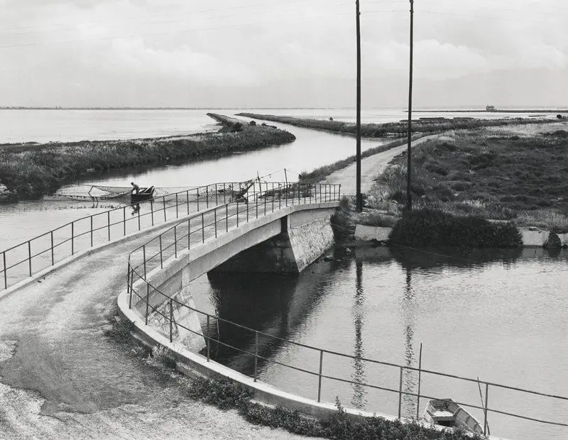 Carmarque, France by Paul Strand