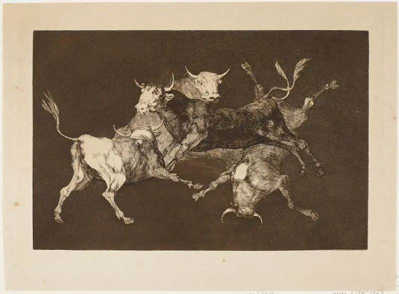 Al toro y al aire darles calle (Make Way for Bulls and Wind), unpublished plate from Los Proverbios (The Proverbs) by Francisco José de Goya y Lucientes