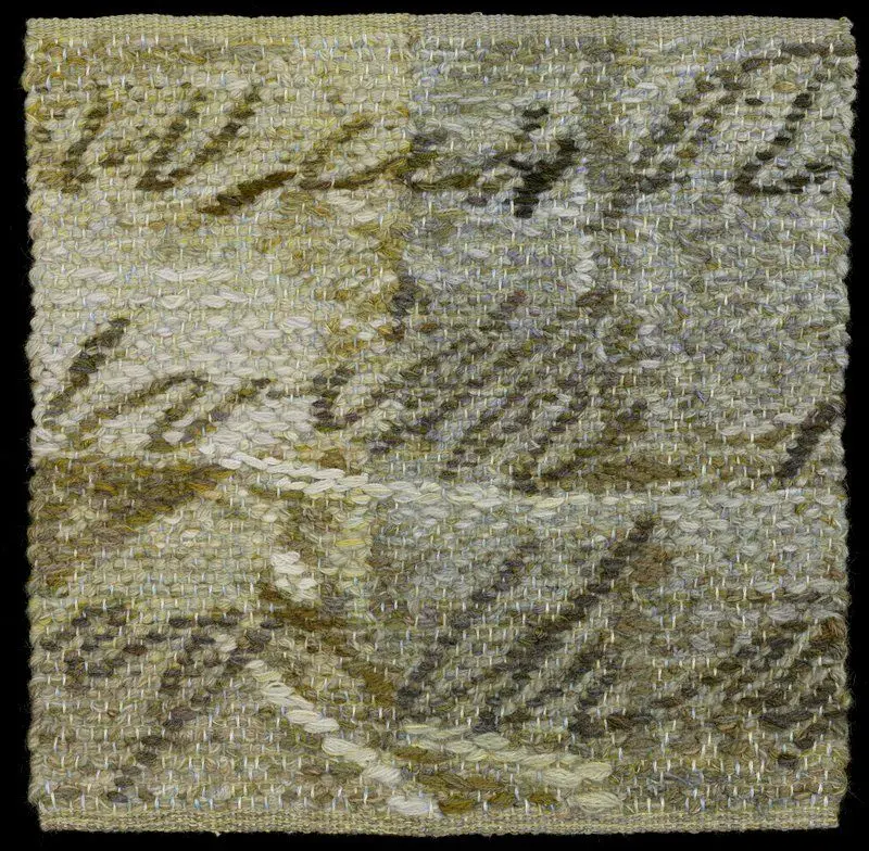 Ballyhooly Document Study by Helena Hernmarck