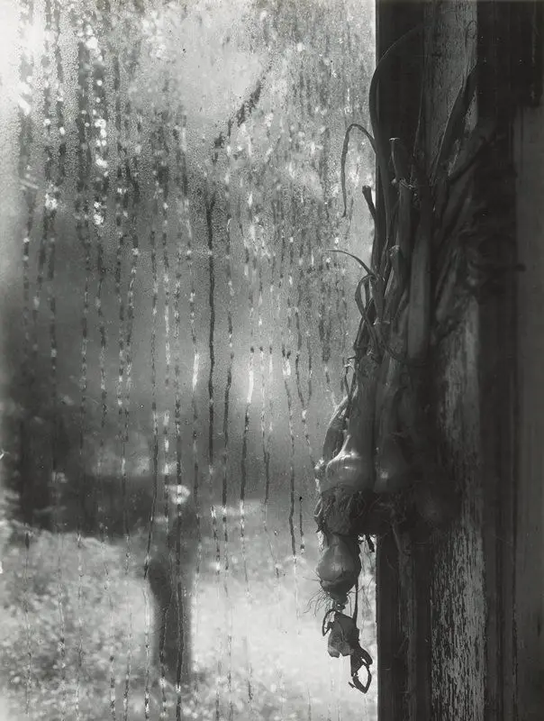 From My Studio Window by Josef Sudek