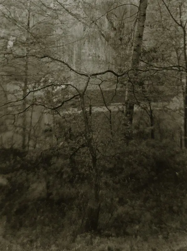 Landscape by Josef Sudek