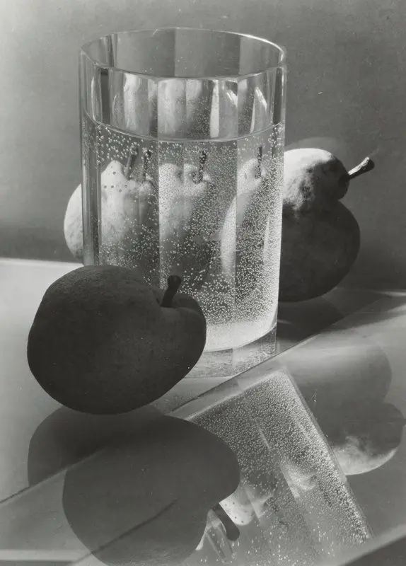 Still Life by Josef Sudek