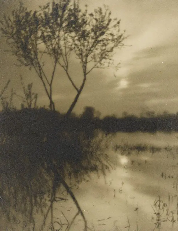 Untitled [trees, water and moon] by Josef Sudek