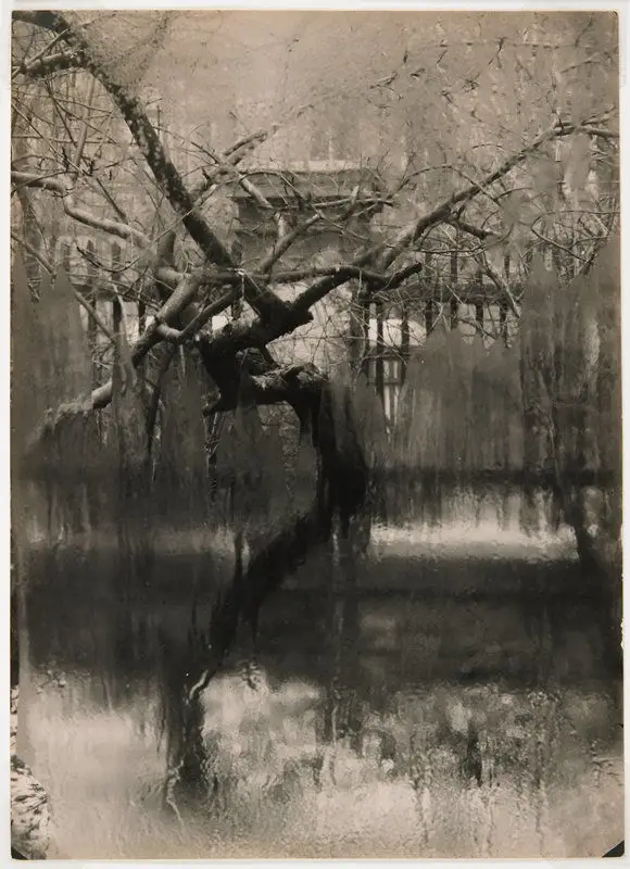 Untitled by Josef Sudek
