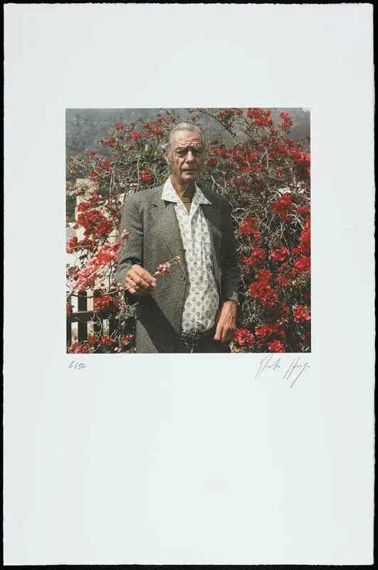 Untitled (man in garden) by Pieter Hugo