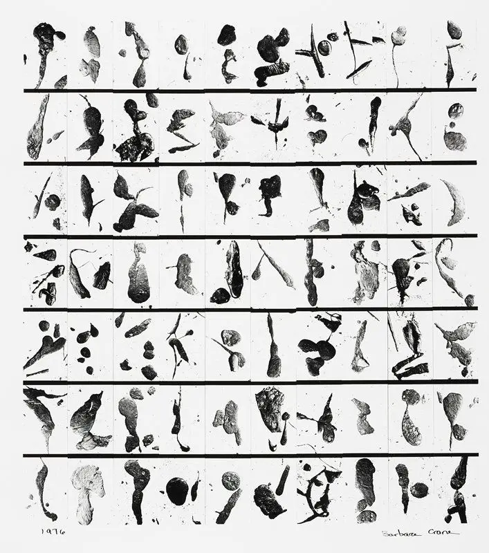 Tar Findings by Barbara Crane