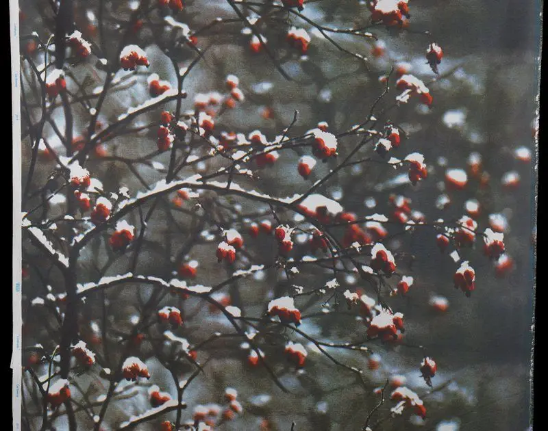 Lumihuntu by Designer: Caj Bremer