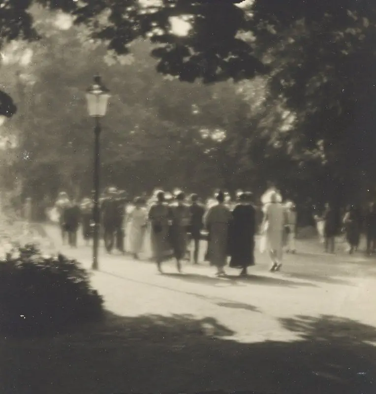 Ze Stromovky by Josef Sudek