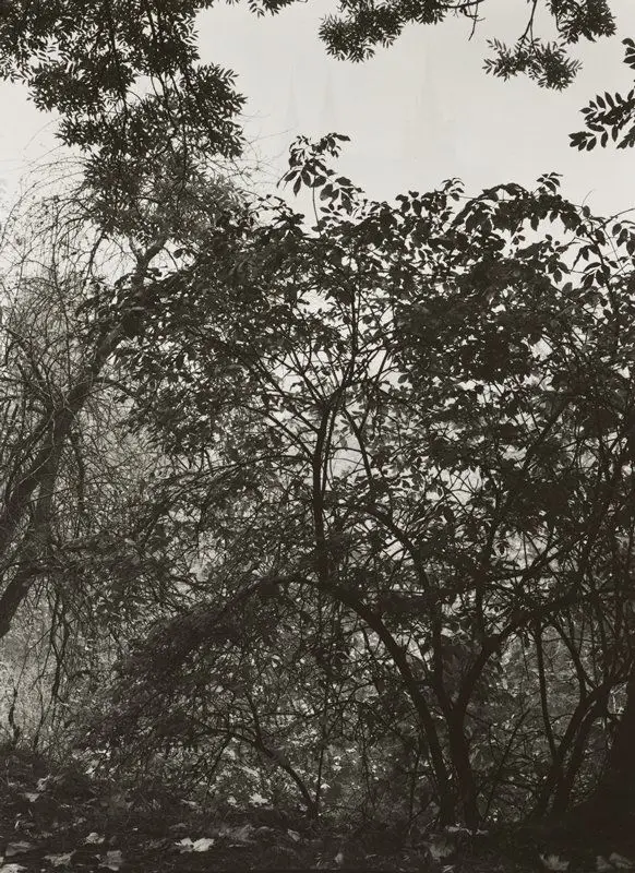 Untitled [Hradschin, Prague] by Josef Sudek