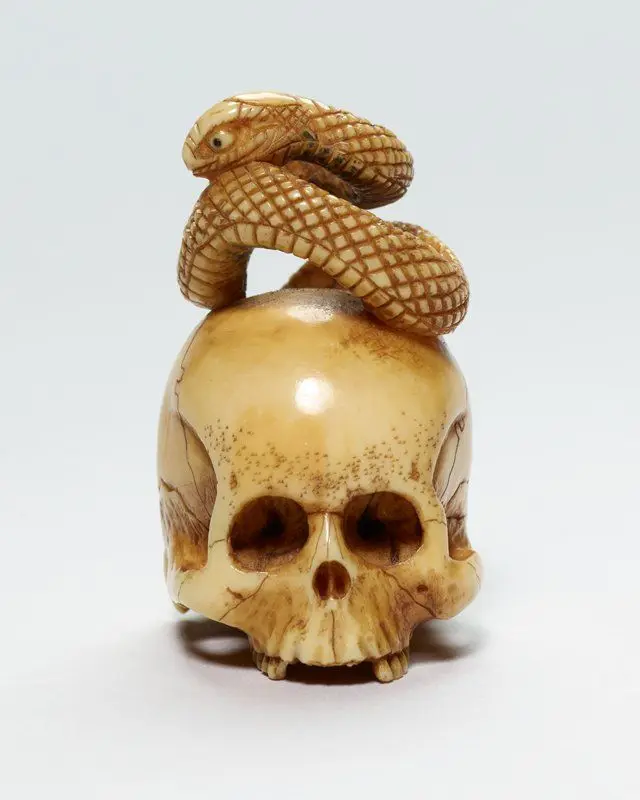Snake sitting on a skull by Japan