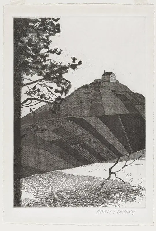 A Wooded Landscape by David Hockney