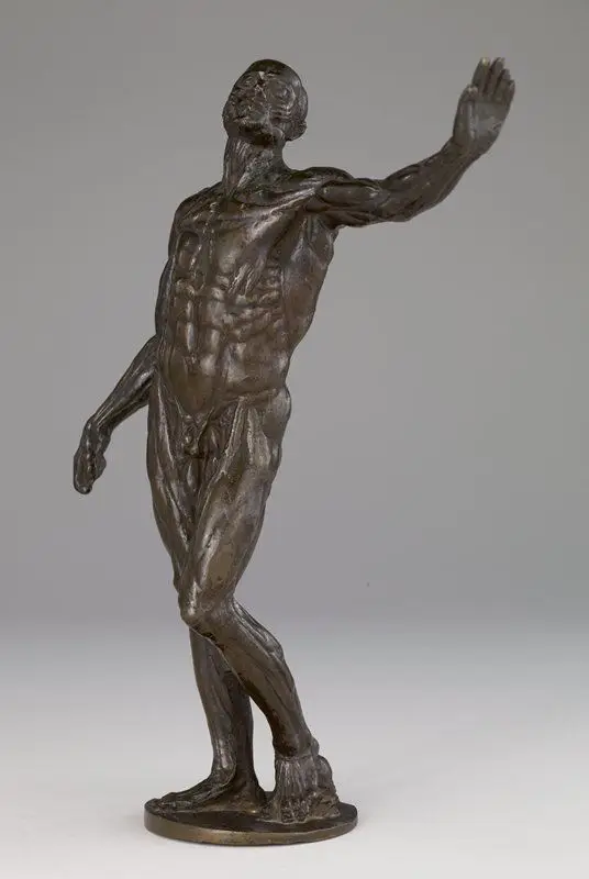 Anatomical Man (Ecorché) by Italy