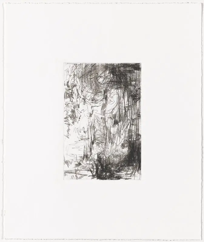 Proof #3 for II from days suite by Jim Hodges