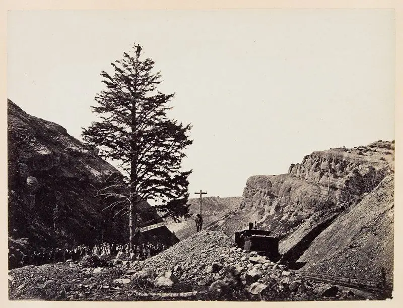 Thousand Mile Tree, Wilhelmina's Pass by Andrew Joseph Russell