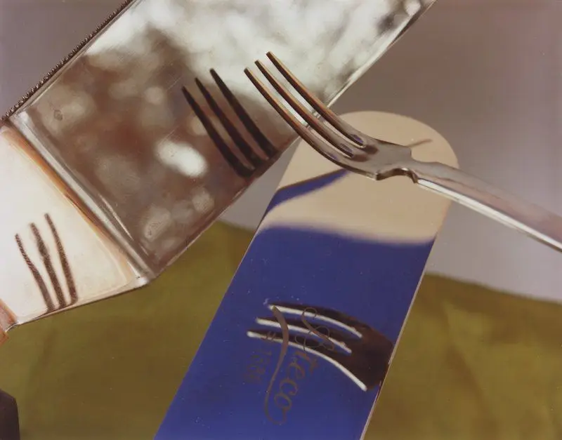 Tybee Forks and Starts (L) by Jan Groover