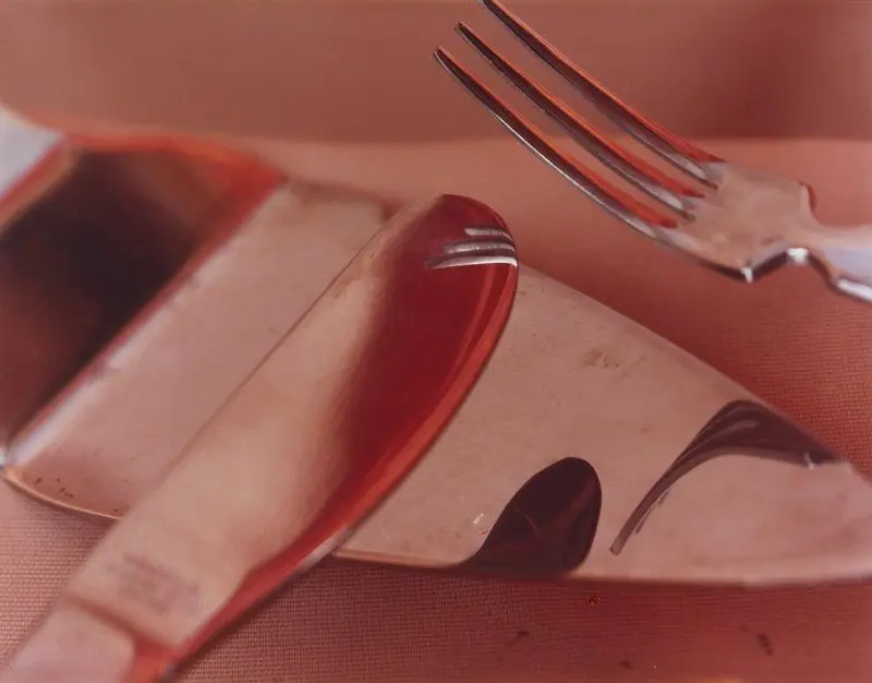 Tybee Forks and Starts (B) by Jan Groover