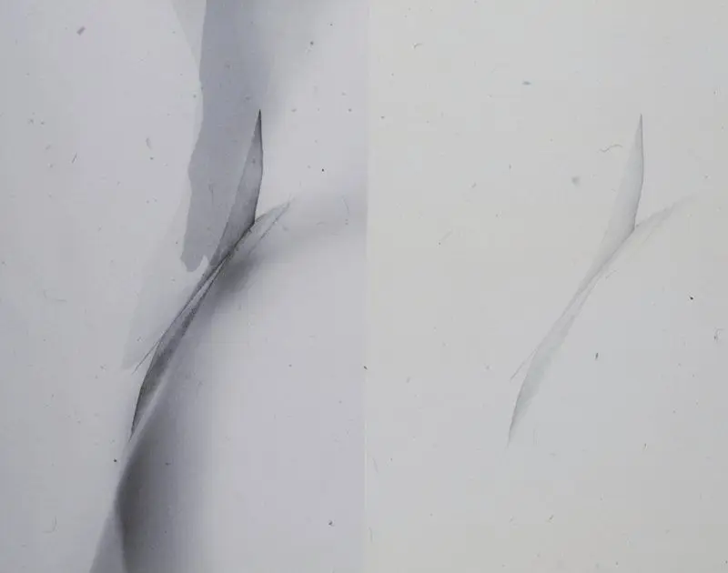 Two Adjacent Pivotal Motions, One Continuous, One Started and Ended in the Paper Surface by Blythe Bohnen