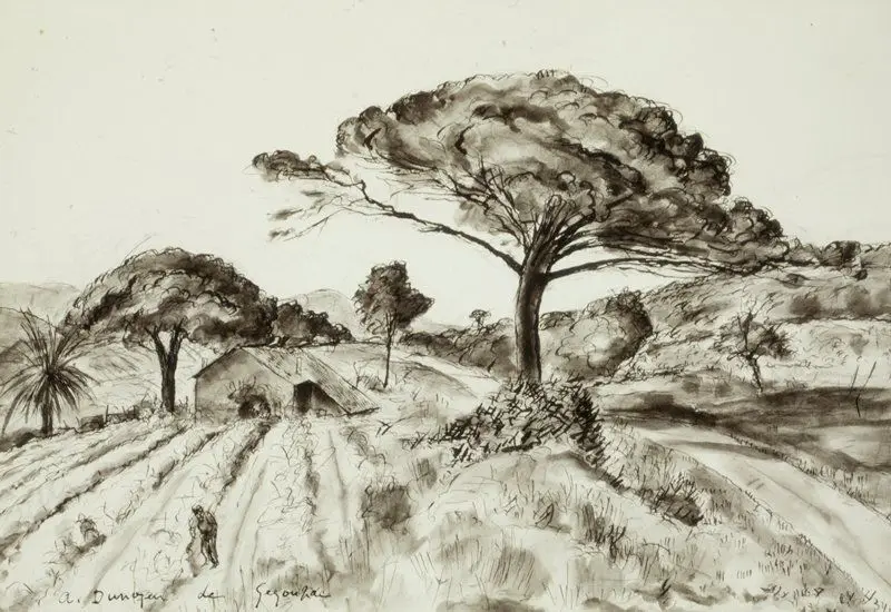 Le Pin Parasol by André Albert Marie Dunoyer de Segonzac