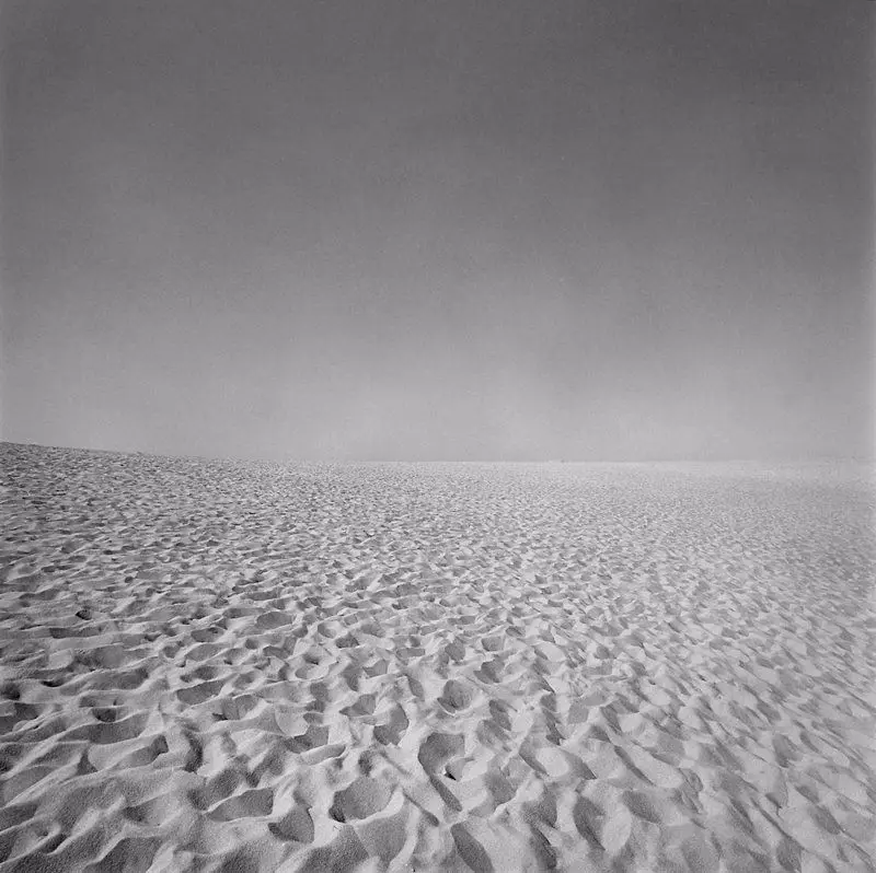 Cape Cod by Harry Callahan