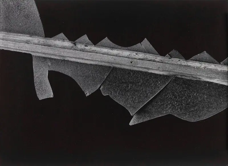 New York City (Window 3) by Aaron Siskind