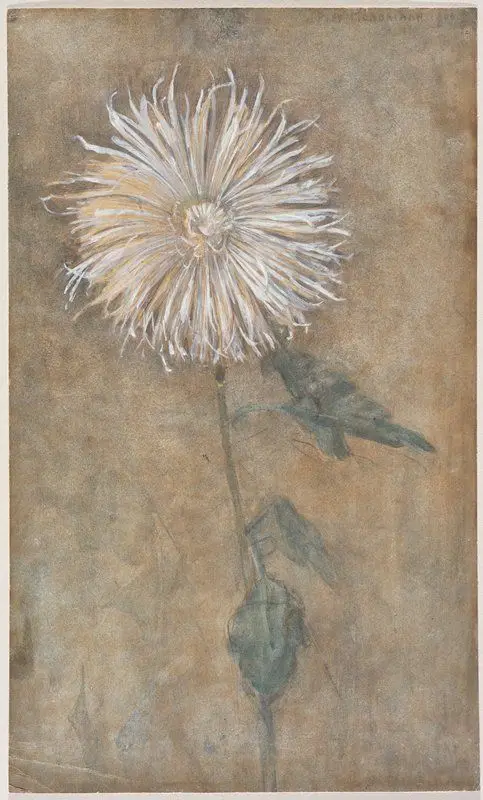 Chrysanthemum by Piet Mondrian