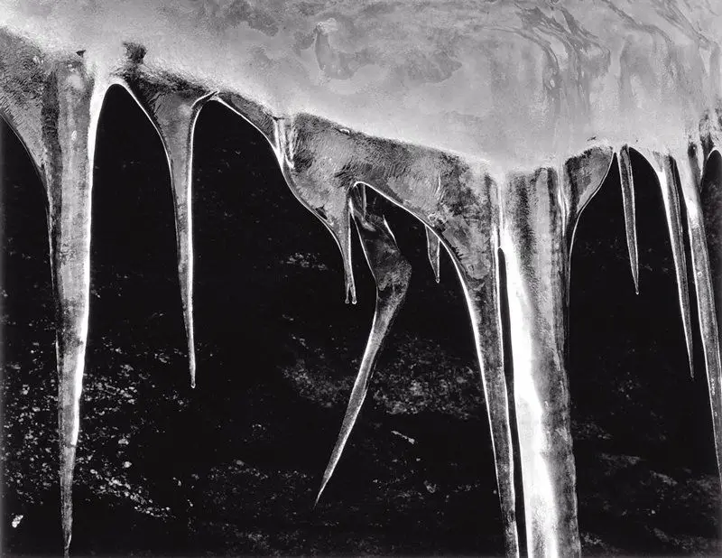 Icicles, Yosemite National Park by Ansel Adams