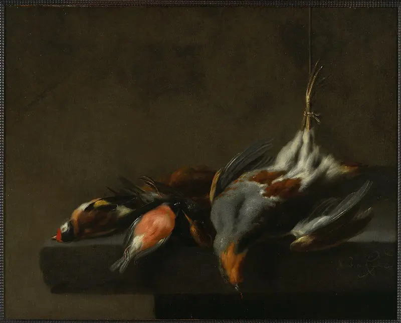 Still Life of Dead Birds by Jan Vonck