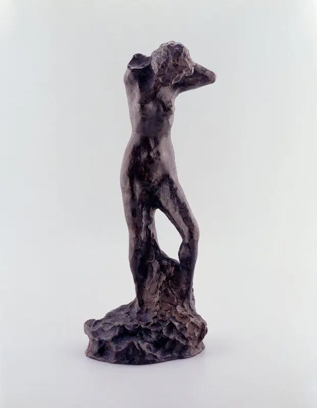 Standing Nude by Pierre Bonnard