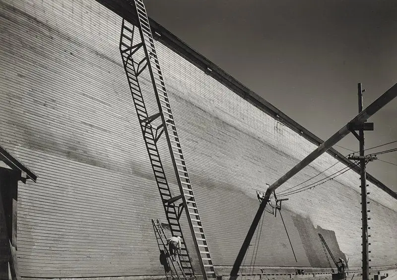 Shed Six, For Storage of Dry Lumber, Red River Lumber Company, California by Berenice Abbott